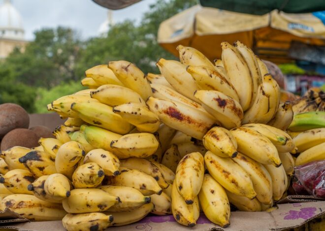 Multifaceted Benefits of eating Bananas in Your Daily Diet