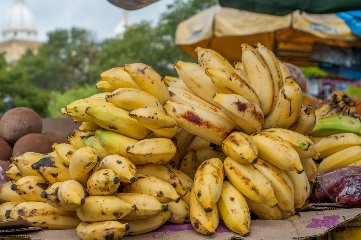 Multifaceted Benefits of eating Bananas in Your Daily Diet