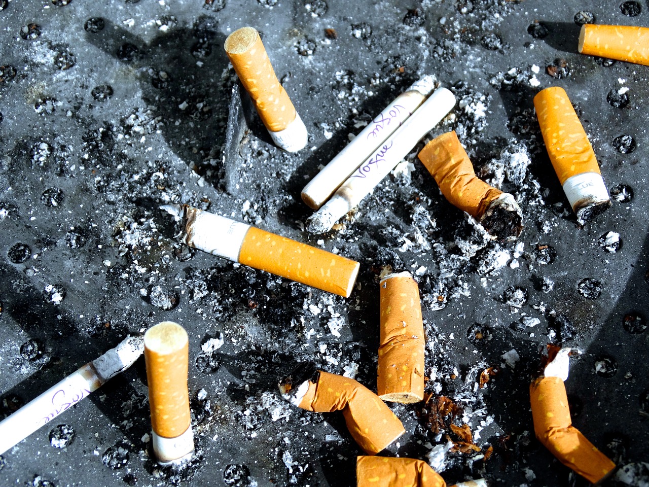 The Long Term Effects of Smoking: Pervasive Health Hazards