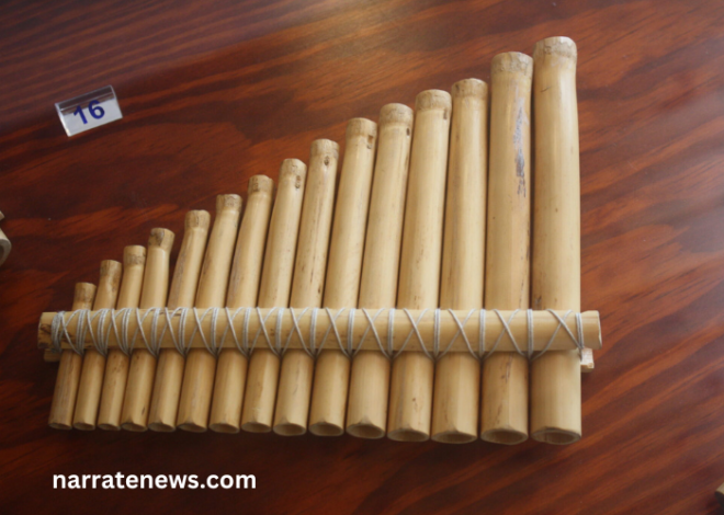 World’s Longest Musical Instrument Names