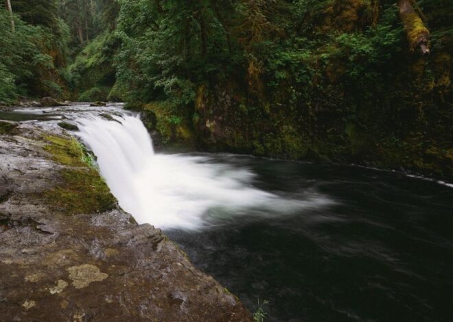 Pure Elixir: Exploring the Wonders of Mountain Spring Water