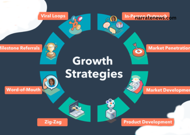 The Role of a Business Growth Strategist