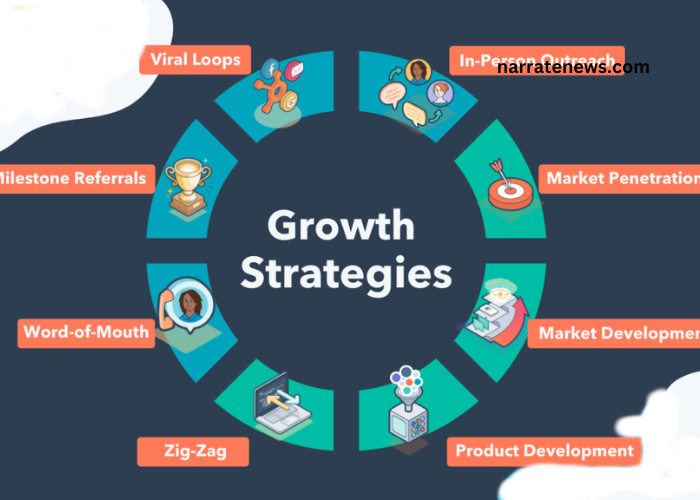 The Role of a Business Growth Strategist