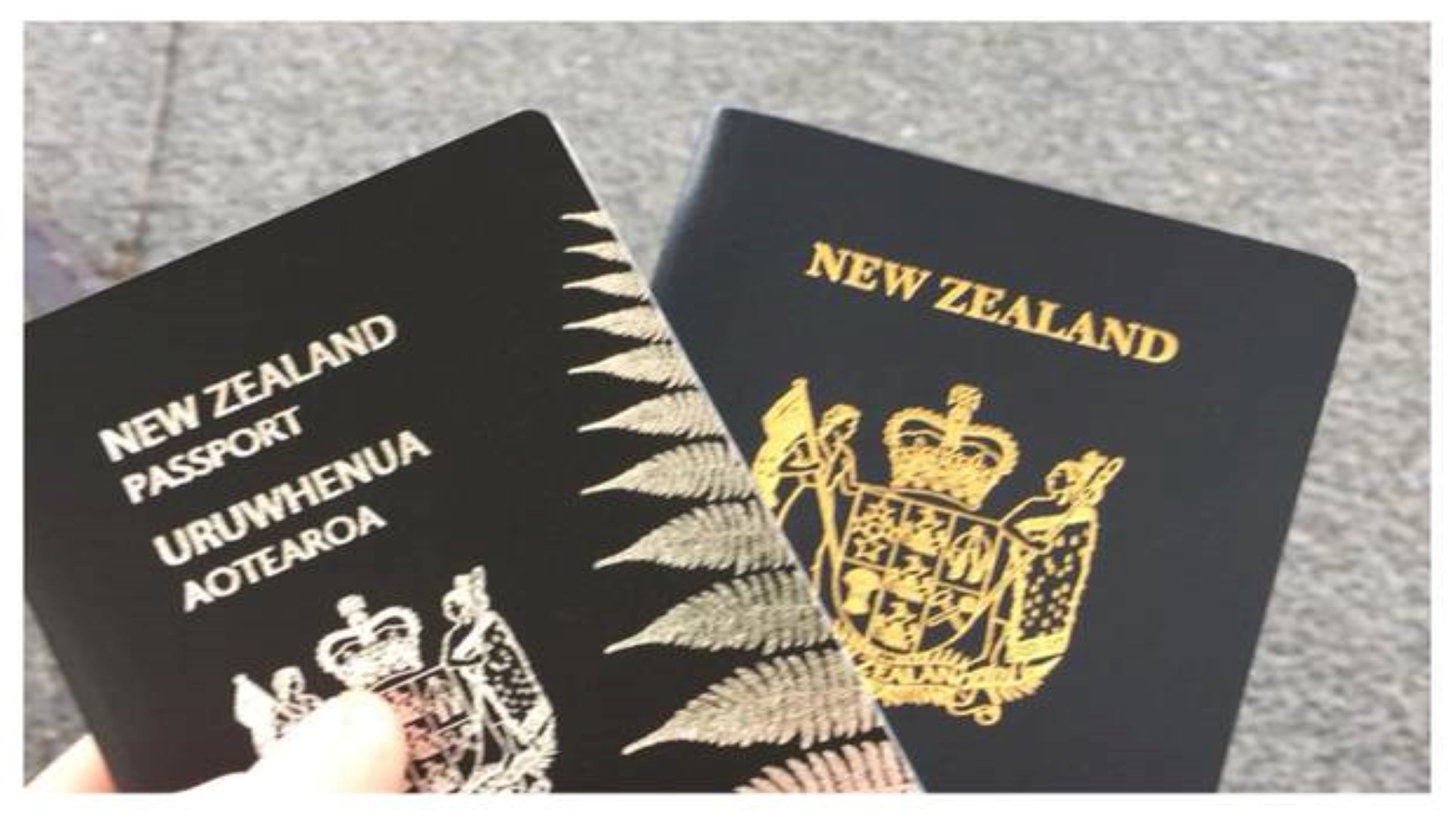 NEW ZEALAND VISA FOR MEXICAN CITIZENS