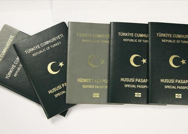 A Comprehensive Guide to Turkey Visa Online Application