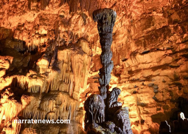 Salta la Coda: Biglietto d’Ingresso Oscuro alle Grotte de Baume