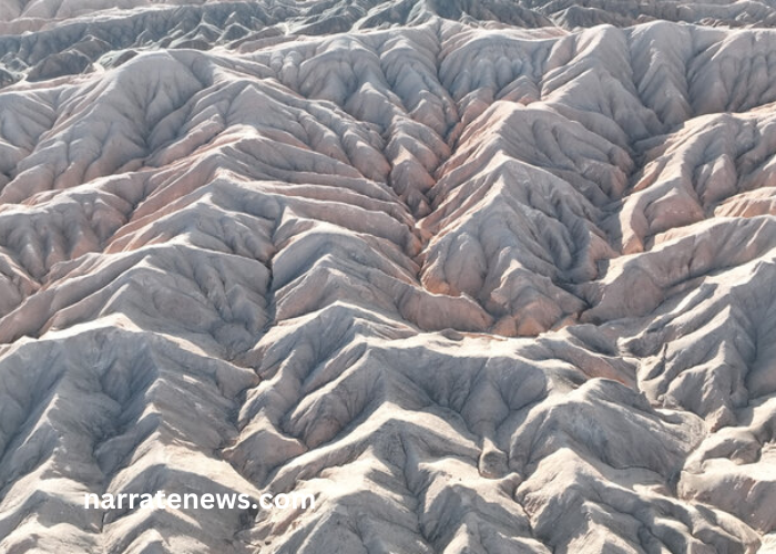 Largest Desert In Asia NYT Crossword