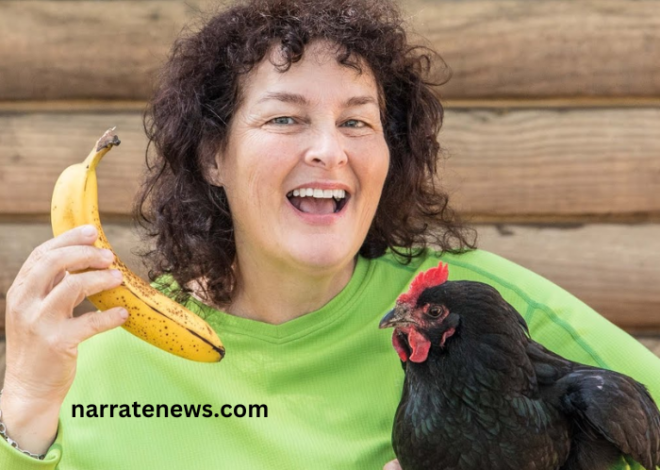 Discover if Chickens Can Eat Bananas